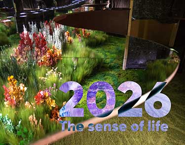 Voeux 2026 no limit GB copie